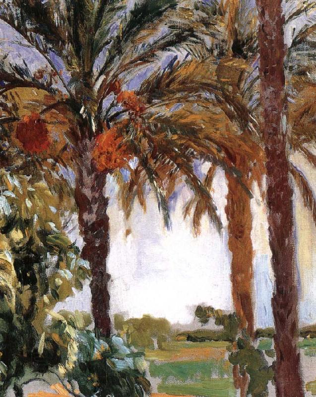 Joaquin Sorolla Palm oil painting picture